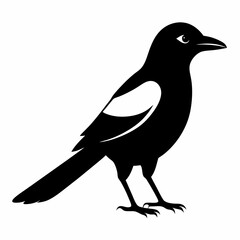 Magpie silhouette vector isolated on white background