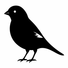 Sparrow silhouette vector isolated on white background 
