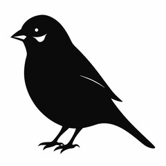 Sparrow silhouette vector isolated on white background 
