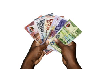 Black african hands holding various Ghanaian cedi notes over transparent background. closeup of Hands holding Ghana paper currencies. 
