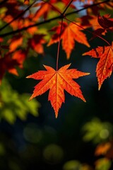 a close up of a leaf on a tree with a blurry background