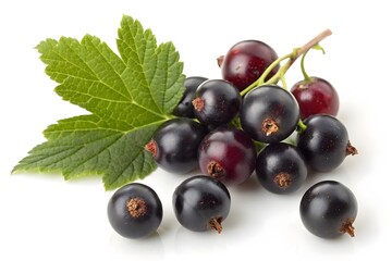 A Cluster of Black Currant Berries Is the Main Subject Photo