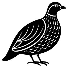 Animal Quail silhouette vector illustrator