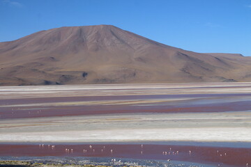 Lagoons, volcanoes and geysers in the Uyuni desert
