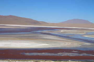 Lagoons, volcanoes and geysers in the Uyuni desert
