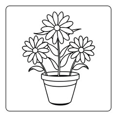 A pink chrysanthemum blossom in a decorative flowerpot brings spring nature indoors