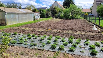 Fototapete bei efototapeten.de bestellen   