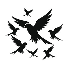 Parakeet birds flying in the sky shilhotee vector isolated on white background 