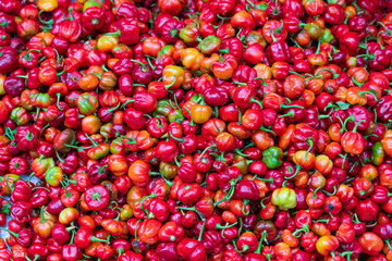 Vibrant red and green round chili peppers on display at an outdoor market, fresh and colorful produce.