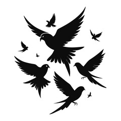 Parakeet birds flying in the sky shilhotee vector isolated on white background 