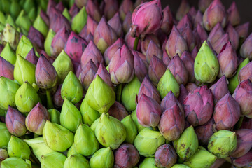 Lotus flowers at Kandy market, Sri Lanka, used in Buddhist offerings, symbolizing purity and devotion.  Travel and religion.