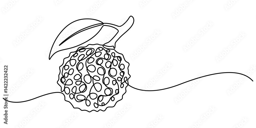 Poster continuous one single minimal line drawing lychee, single one line drawing peeled healthy organic ly