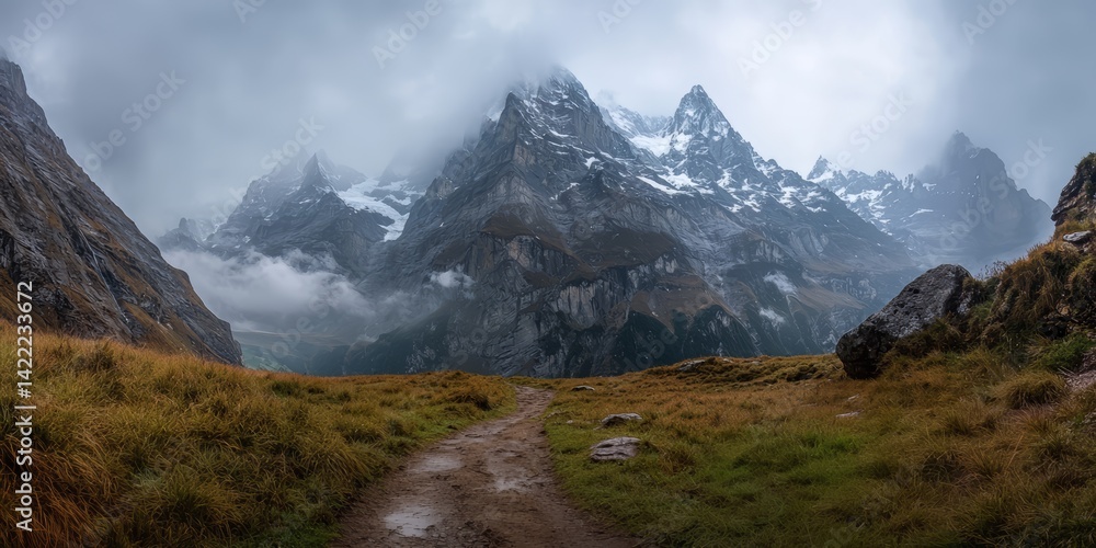 Poster Mountain range with a path leading to it. The sky is cloudy and the mountains are covered in snow