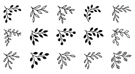 Minimal Hand Drawn Botanical Twigs and Leaves Set