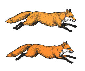 Running fox animal engraving vector illustration