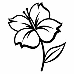 black and white flower