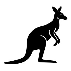 kangaroo vector illustration