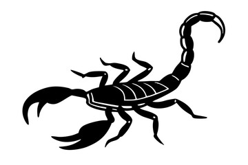 scorpion isolated on white background