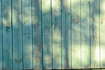 peeling green wooden fence boards
