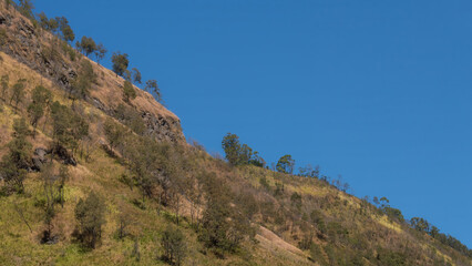 Cliff landscape at Mount Bromo highlands, East Java, Indonesia. Rocky slope with dry grass and trees under clear blue sky. Popular nature destination for traveling and outdoor adventure.
