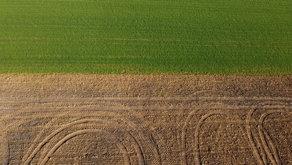 border between green field and brown field on a sunny day. Visible tractor tracks