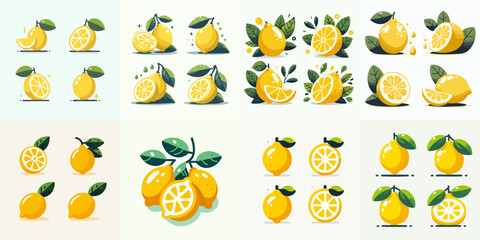 vector collection of fresh and delicious lemon fruit