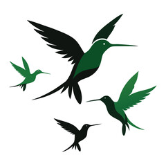 Hummingbirds flying in the sky  shilhotee vector isolated on white background 