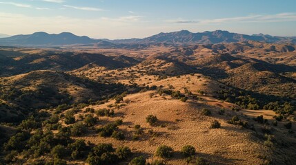 Obraz premium Serene Arizona Landscape: Golden Hills and Distant Mountains