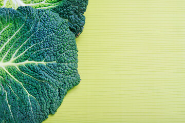 The structure of a cabbage leaf seen from very close up. A natural background that is a symbol of...