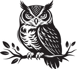 owl on white background