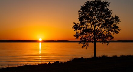 Serene Sunset Over Calm Lake with Silhouetted Tree
