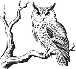 owl sitting on a branch