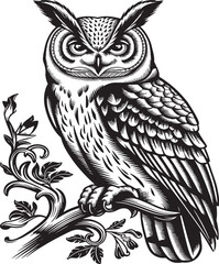 Obraz premium Detailed Owl Perched On Branch With Leaves Black And White Illustration