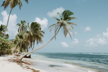 Fototapeta premium A serene scene of a tropical beach with swaying palm trees, clear blue water, and white sand, A tropical beach with palm trees swaying in the breeze