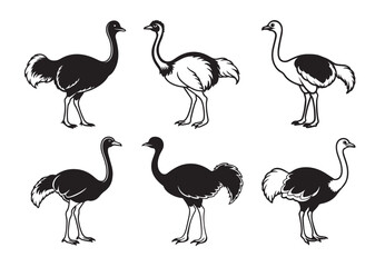 Fototapeta premium Ostrich silhouette vector Set