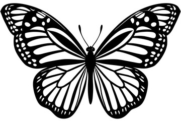 Night Butterfly Vector