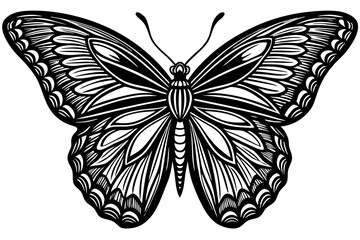 Colorful Purple and Pink Butterfly on White