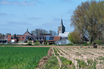 The Saint Peter church of Outrijve, part of Avelgem, West Flanders, Belgium