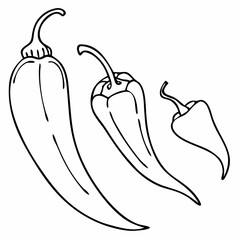 vector illustration of a chili pepper and sweet pepper