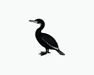 cormorant coastal water bird vector illustration design 