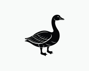 goose white farm bird vector illustration design 