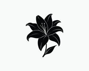 lily elegant garden flower vector illustration design 