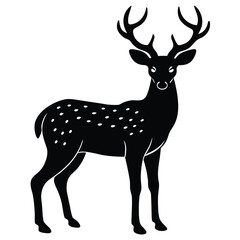 Fototapeta premium deer