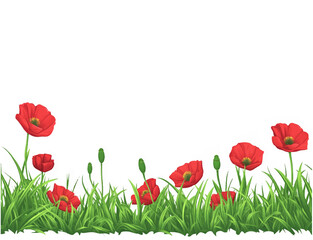 Fototapeta premium Red Poppy Bouquet for ANZAC Memorial Day