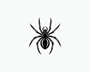 spider creepy eight leg insect vector illustration design 