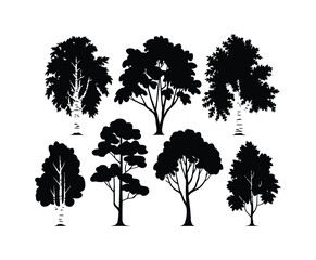 Birch Tree Silhouette EPS Vector Template Illustration