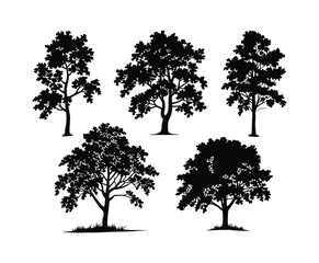 Birch Tree Silhouette Isolated Template Set