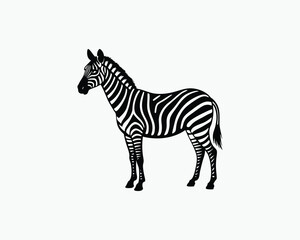 zebra striped african animal vector illustration design 