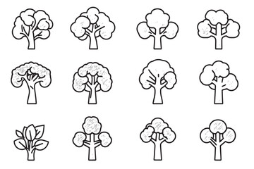 Broccoli Vegetable Minimalist Line Art