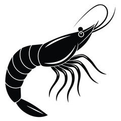 Fototapeta premium prawn